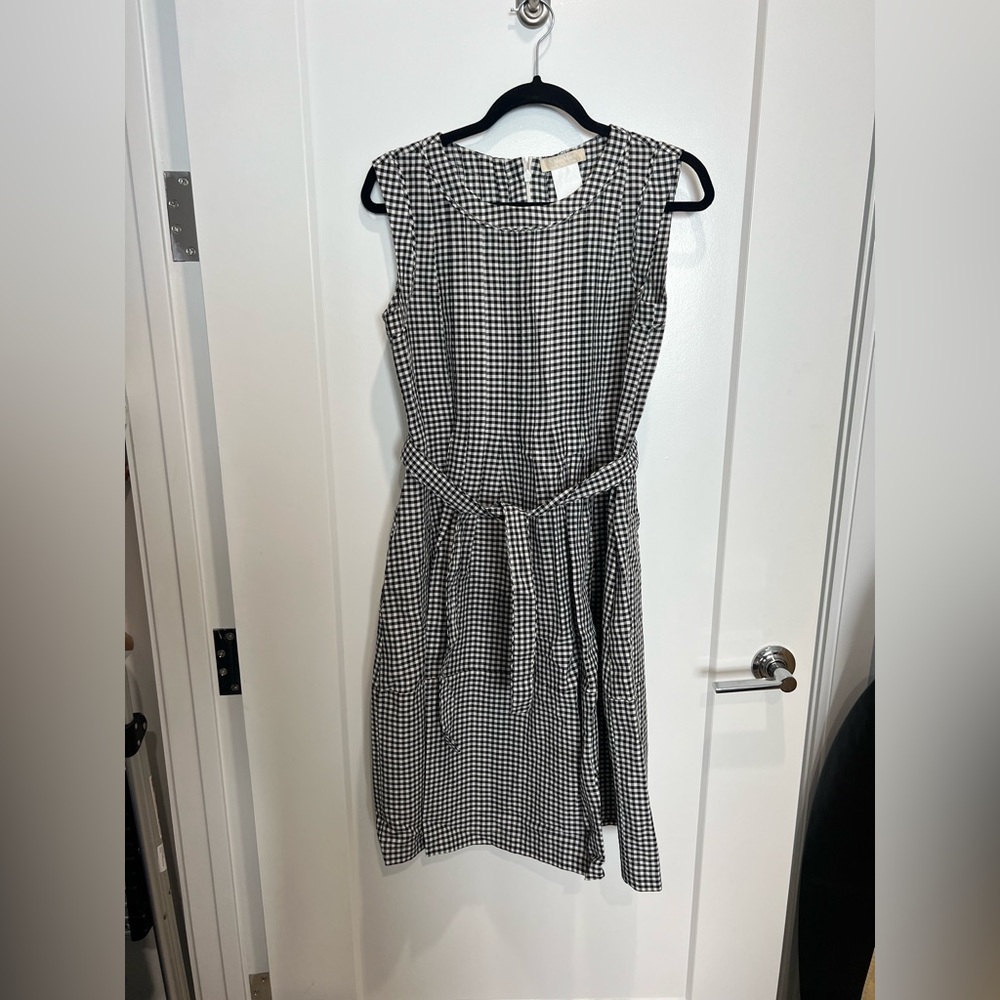 MaxMara Dress and Pettycoat